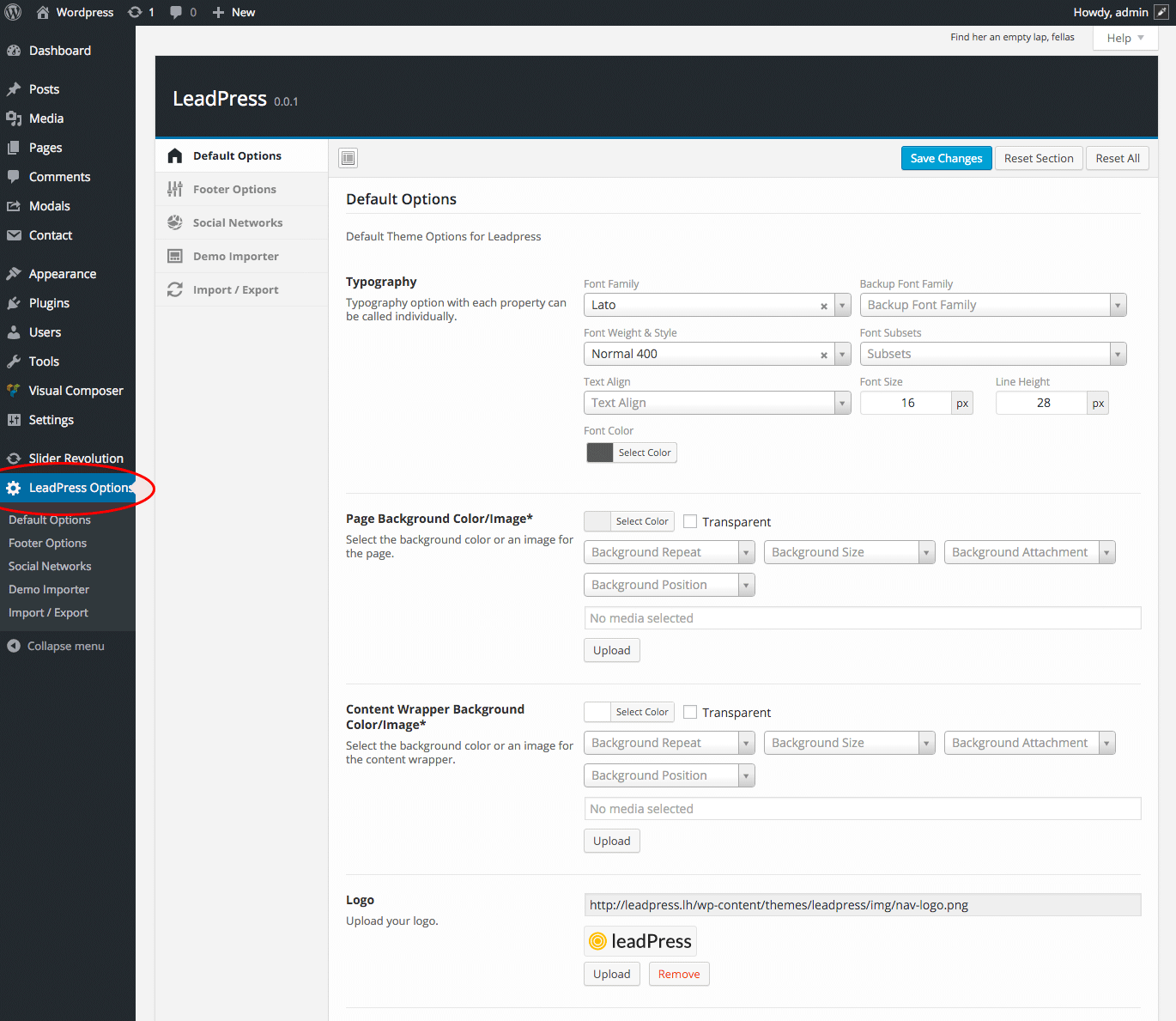 Leadinjection Options